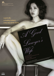 A Good Lawyer's Wife-A Good Lawyer's Wife