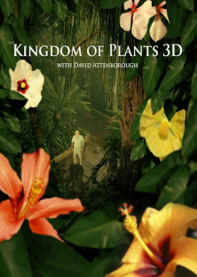Kingdom of Plants-Kingdom of Plants