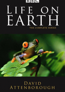 Life on Earth-Life on Earth