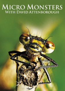 Micro Monsters -Micro Monsters 
