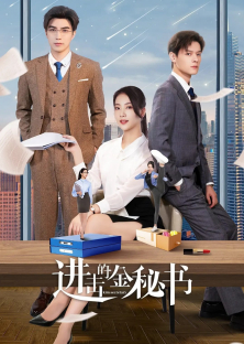 Jin Secretary-Jin Secretary