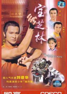 The Return Of Wong Fei Hung-The Return Of Wong Fei Hung