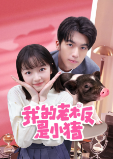 My Piggy Boss-My Piggy Boss