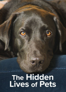 The Secret Life of Our Pets-The Secret Life of Our Pets