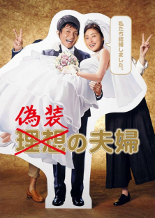 Fake Marriage-Fake Marriage