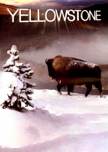 Yellowstone-Yellowstone