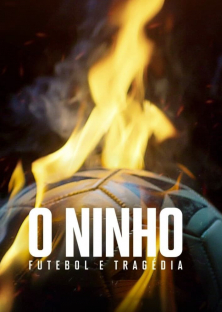 From Dreams to Tragedy: The Fire that Shook Brazilian Football-From Dreams to Tragedy: The Fire that Shook Brazilian Football