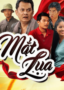 Mắt Lụa-Mắt Lụa