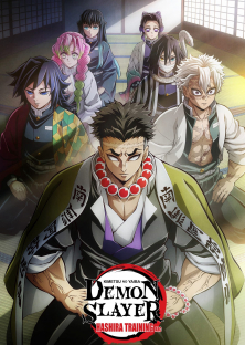 Demon Slayer: Hashira Training Arc-Demon Slayer: Hashira Training Arc
