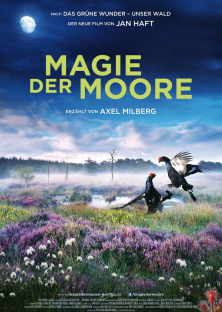 Magie der Moore-Magie der Moore