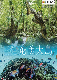 Amami Ashima Island-Amami Ashima Island