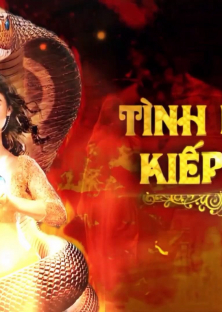 Tình Người Kiếp Rắn (Phần 1)-Tình Người Kiếp Rắn (Phần 1)