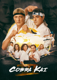 Cobra Kai (Season 6)-Cobra Kai (Season 6)