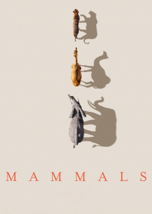 Mammals-Mammals