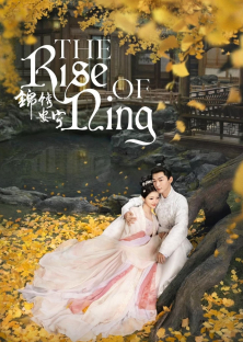 The Rise of Ning-The Rise of Ning
