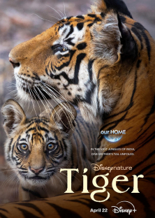 Tiger-Tiger